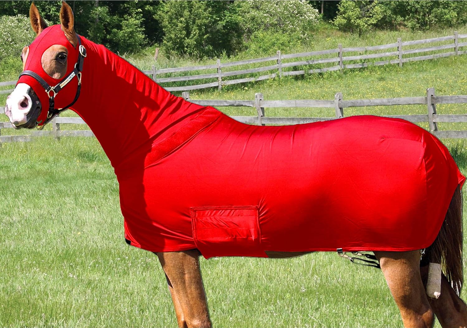 Horse Full Body Sleazy/Slicker/Sheet/Blanket with Full