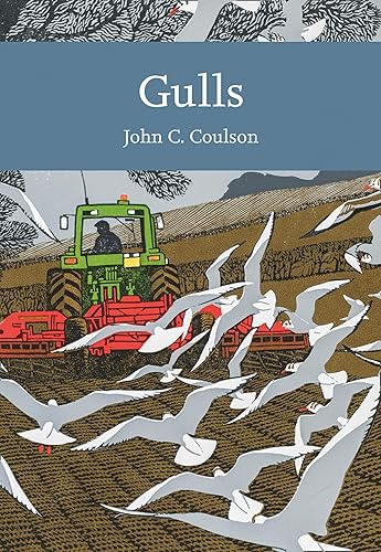 Download Gulls PDF
