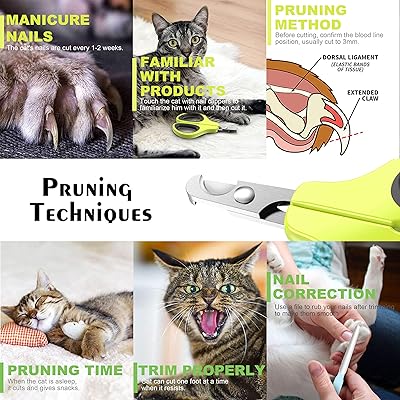 Buy Jofuyu Cat Nail Clippers And Trimmer Professional Pet Nail Clippers And Claw Trimmer Best Cat Claw Clippers For Rabbit Puppy Kitten Kitty Guinea Pig Small Dog Sharp Safe
