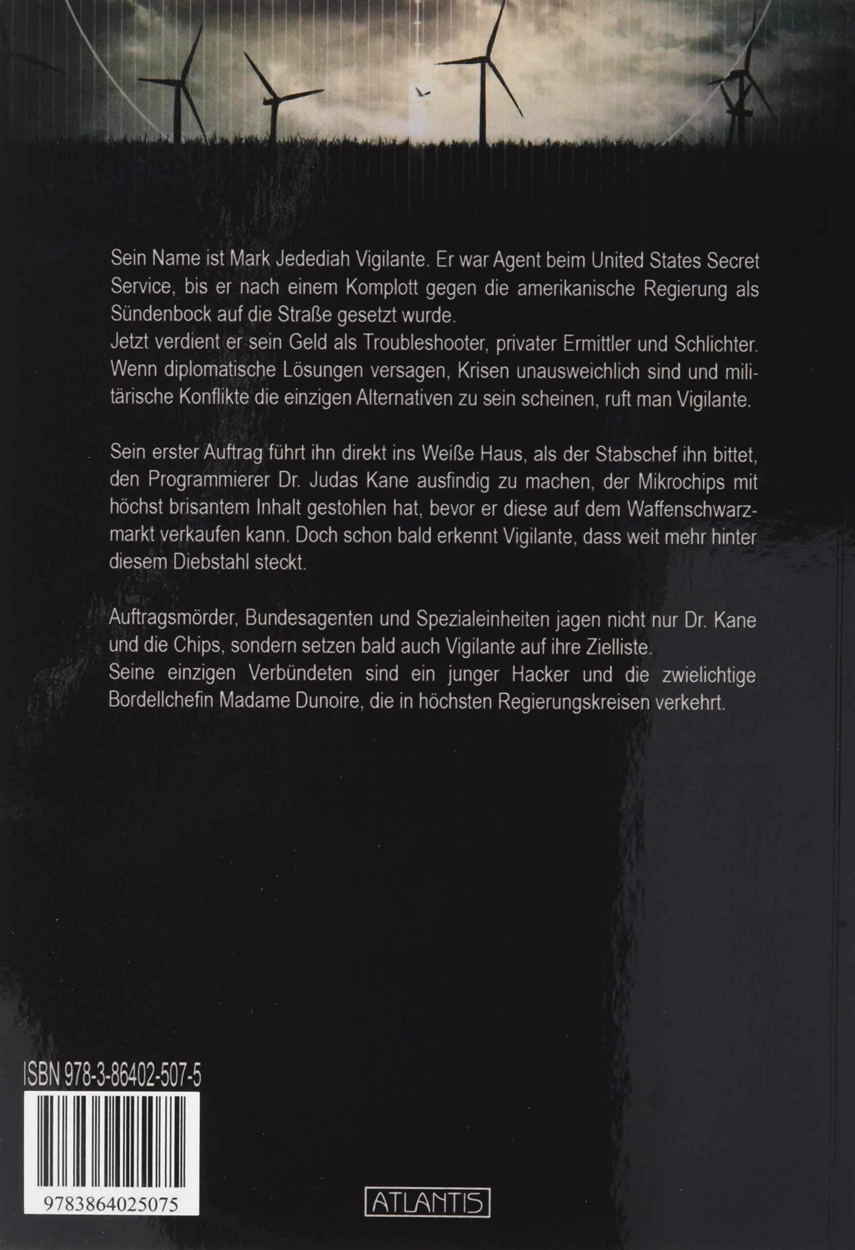 Das Vigilante-Prinzip: Kay, Martin: 9783864025075: Amazon.com: Books