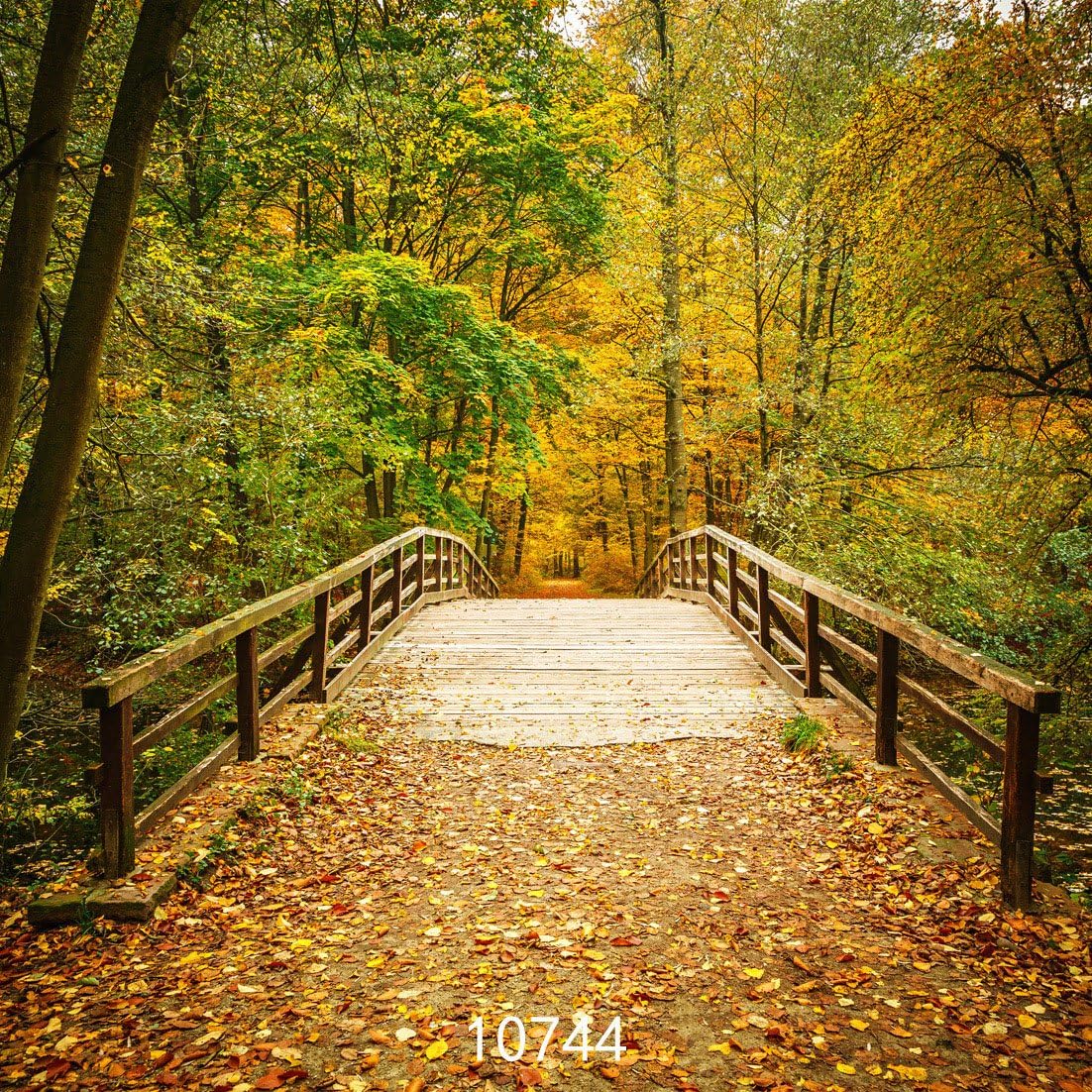 Amazon Com Wolada 10x10ft Autumn Forest Photo Backdrop Forest Trail Photography Backdrop Fallen Leaves Interior Wallpaper Girls Birthday Party Decoration Aged Photos Toddler Boys Photo Prop Camera Photo