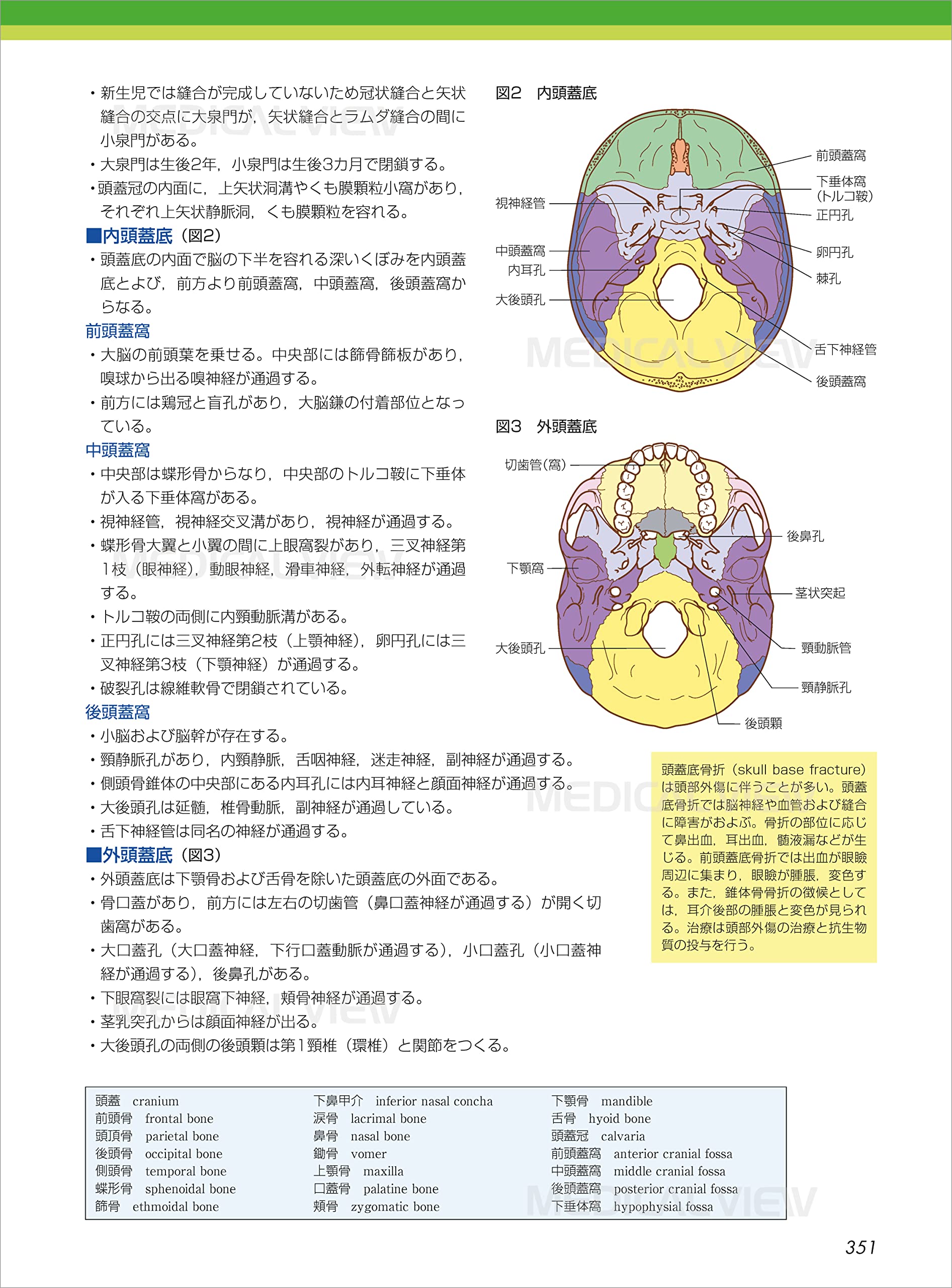 本店は カラーイラストで学ぶ 集中講義 薬理学 渡邊康裕 著者 Www Thewalldogs Com