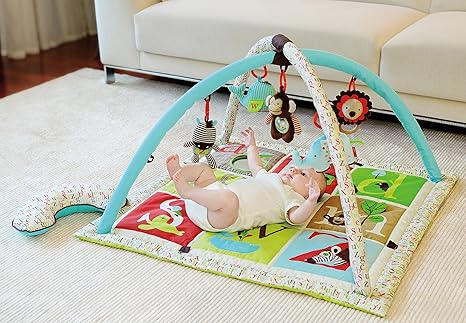 skip hop abc activity gym