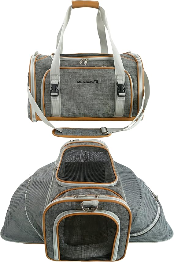 These Are The Best Top 10 Carriers For Bulldogs Dog Fluffy