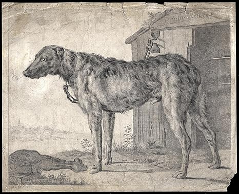 Kunstdruck Antike Master irische Hunde, Knochen, Hundehütte-POTTER-De