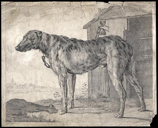 Kunstdruck Antike Master irische Hunde, Knochen, Hundehütte-POTTER-De