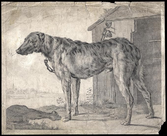 Kunstdruck Antike Master irische Hunde, Knochen, Hundehütte-POTTER-De