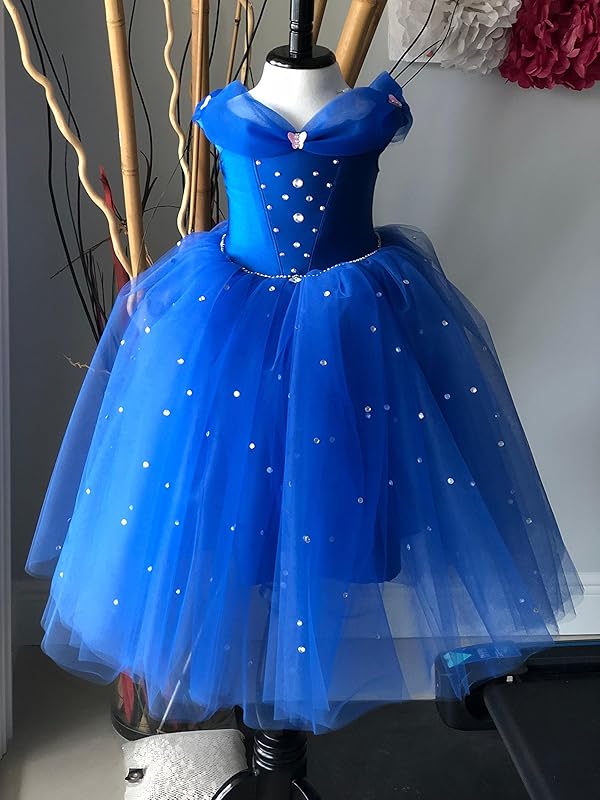 Amazon.com: Cinderella Birthday Dress- Cinderella Princess Dress-Disney