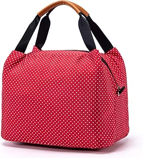 CALIYO Lunchtasche Kühltasche klein Isoliertasche wassedicht Lunchbag mit Reißverschluss Thermotasche faltbar für Arbeit, Schule und unterwegs 9 Liter (Rot)