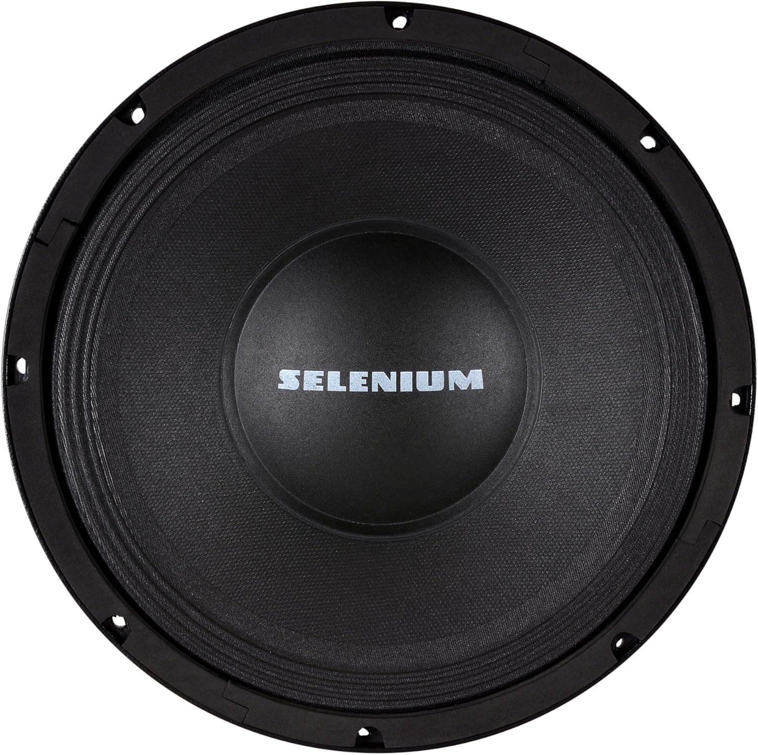 selenium 12 inch speaker