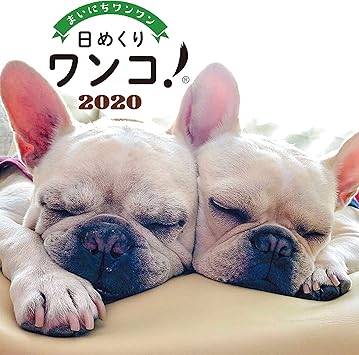 discount dog products