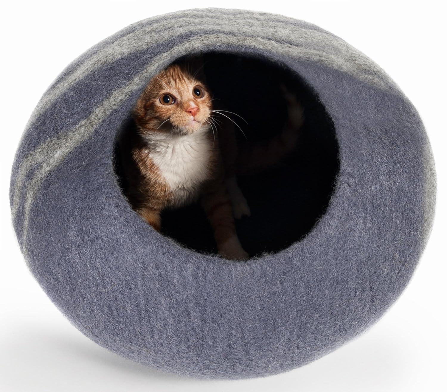 best-odor-controlling-cat-litter