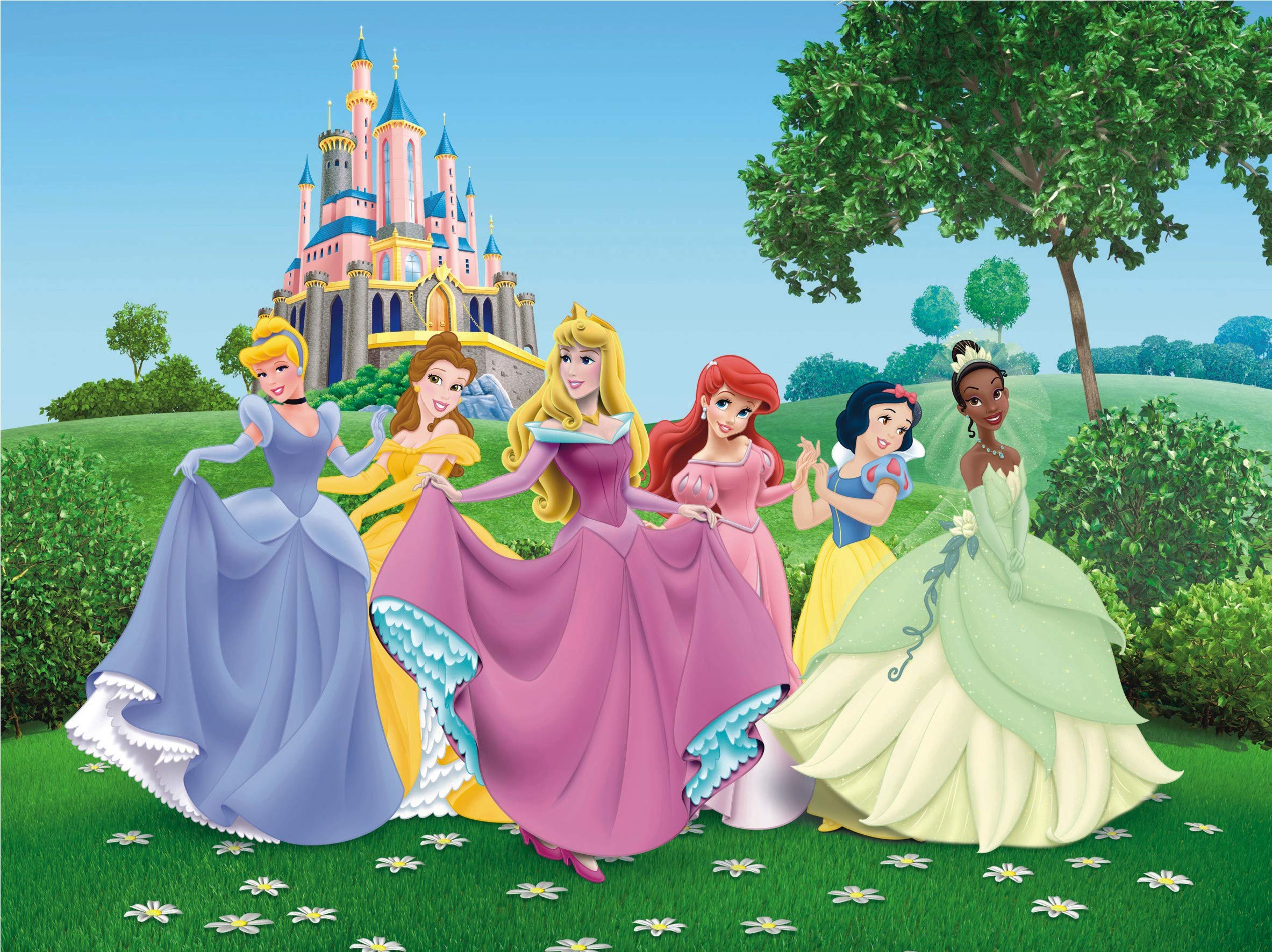 Disney Kids Princess Giant Wall Poster, Non Woven, Multi-Colour, 360 x 270 cm