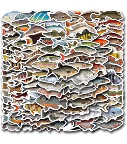 3-Pack Anglerfish Stickers - "This Is Light Of Mine" Cute Vinyl Decals For Water Bottles, Laptops, Cars (3"x3", Waterproof)