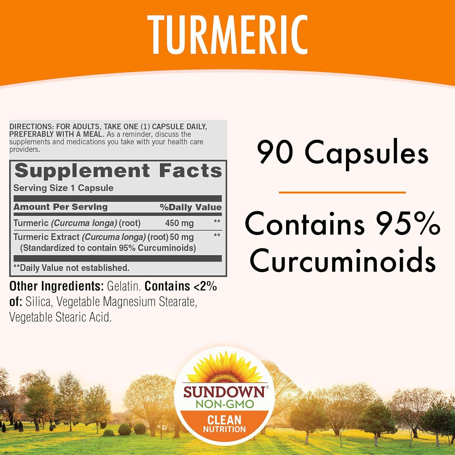 Turmeric Supplements by Sundown, for Antioxidant Health, Standardized Turmeric Extract, Non-GMOˆ, Free of Gluten, Dairy, Artificial Flavors, 500 mg, 90 Capsules: Health & Personal Care
