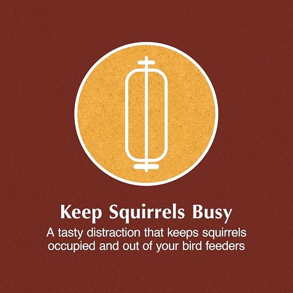 C&S SWEET CORN SQUIRRELOG, 6-PACK REFILL
