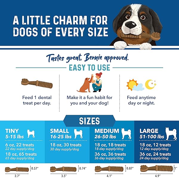 BERNIE’S CHARMING CHOMPERS – DAILY DENTAL CHEWS FOR DOGS 26-50 LBS. – 36 COUNT – CLEANS TEETH, FRESHENS BREATH, + BOOSTS ORAL-GUT MICROBIOME. EASY TO DIGEST, SUPPORTS HEALTHY DIGESTION NATURALLY