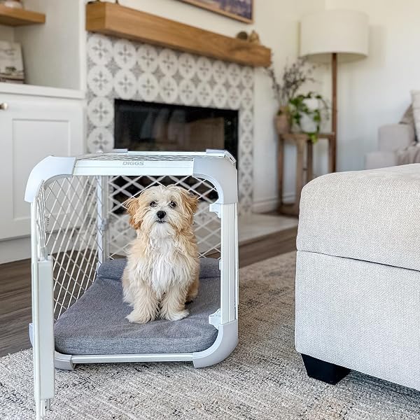 DIGGS EVOLV DOG CRATE – SLIM, DURABLE DOG KENNEL WITH REMOVABLE CEILING PANEL AND MODULAR DESIGN – SAFE, STYLISH, AND CONVENIENT (ASH, SMALL)