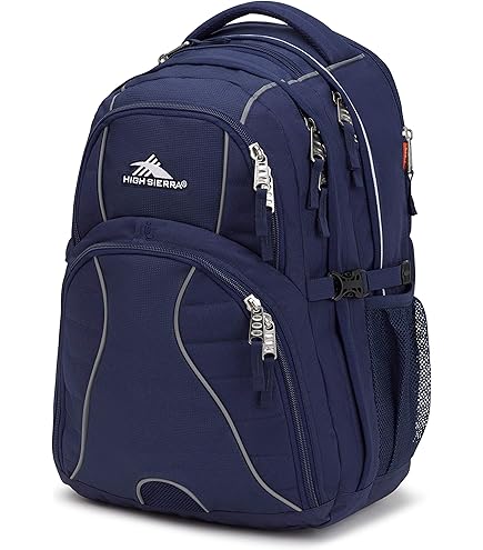 High Sierra Access 2.0 Laptop Backpack, Black, One Size : Electronics