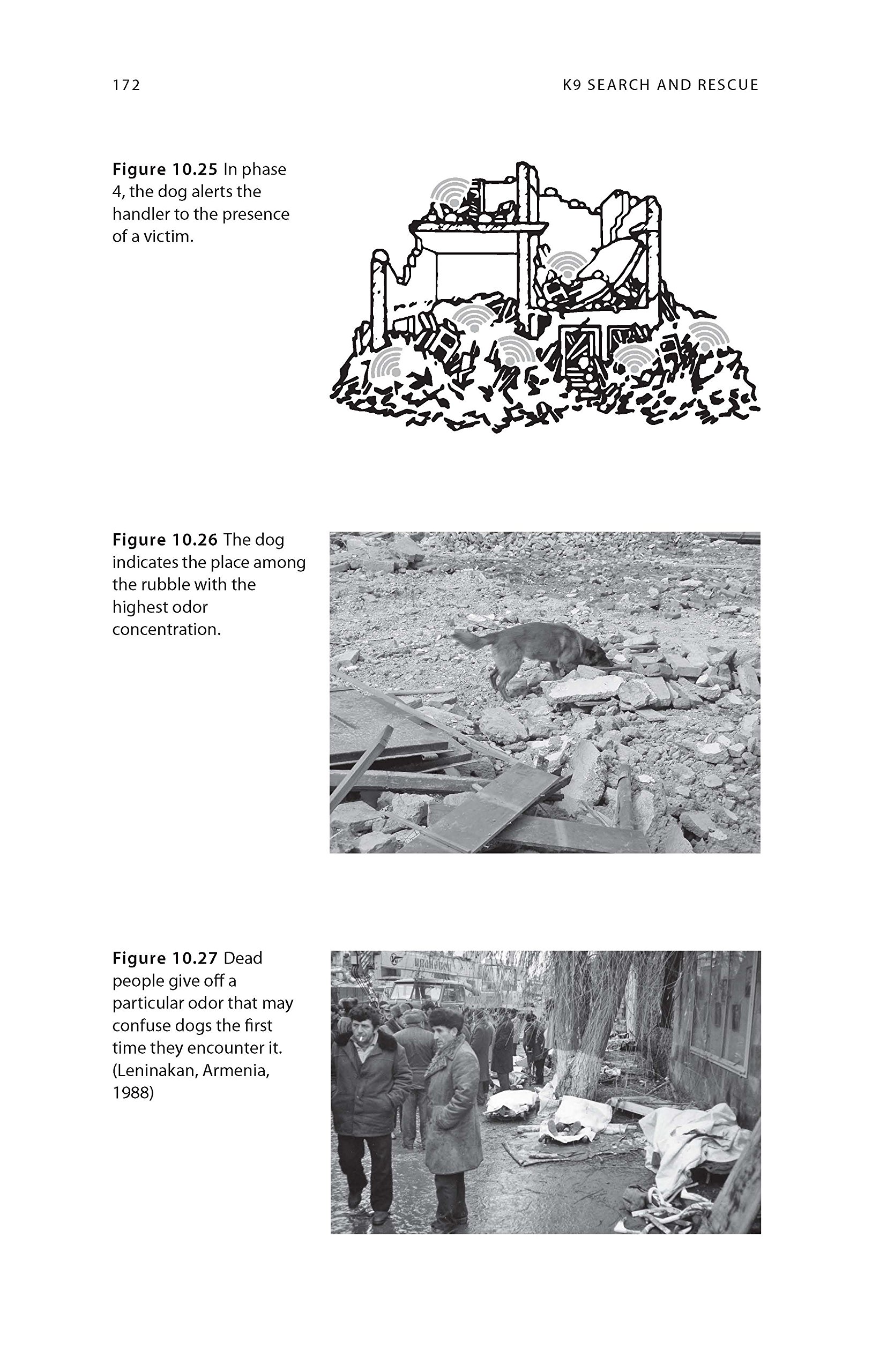 K9 Search and Rescue: A Manual for Training the Natural Way (K9  Professional Training Series): Resi Gerritsen, Ruud Haak: 9781550594478:  Amazon.com: Books