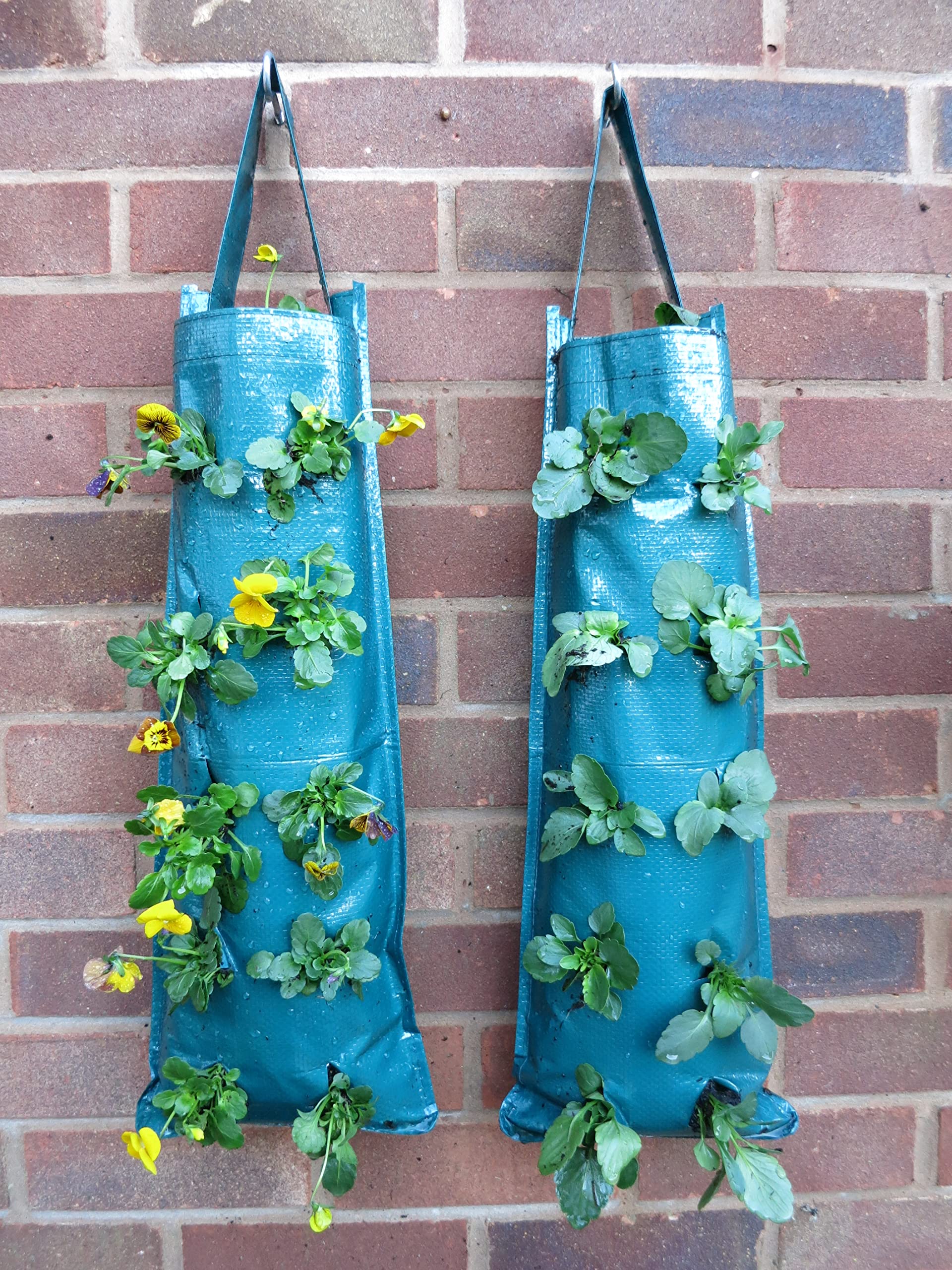 Bowry's Pack of 2 Hanging Strawberry Growbag Planters