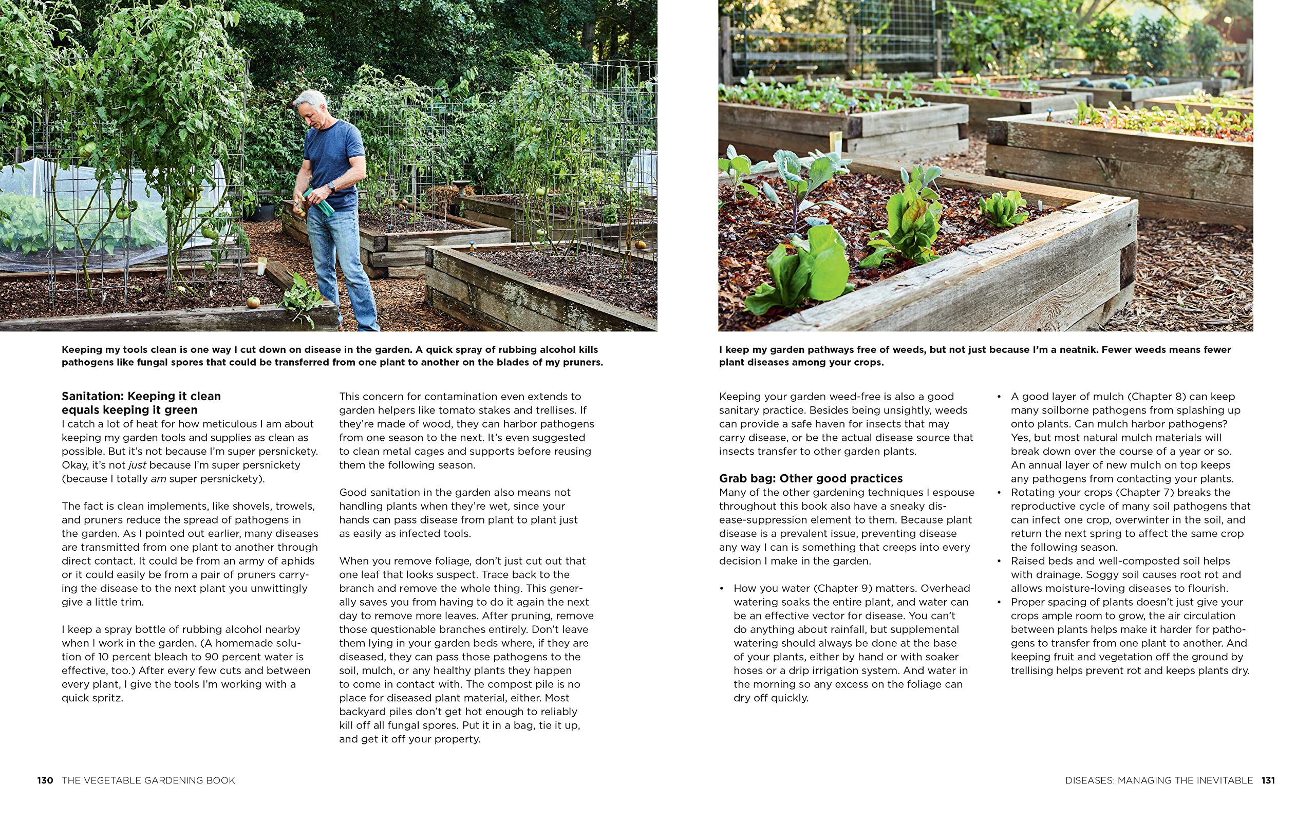 The Vegetable Gardening Book: Your complete guide to growing an edible organic garden from seed to harvest
