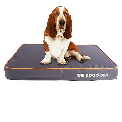 cama viscoel�stica perro
