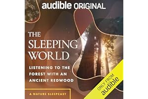 The Sleeping World: Listening to the Forest with an Ancient Redwood