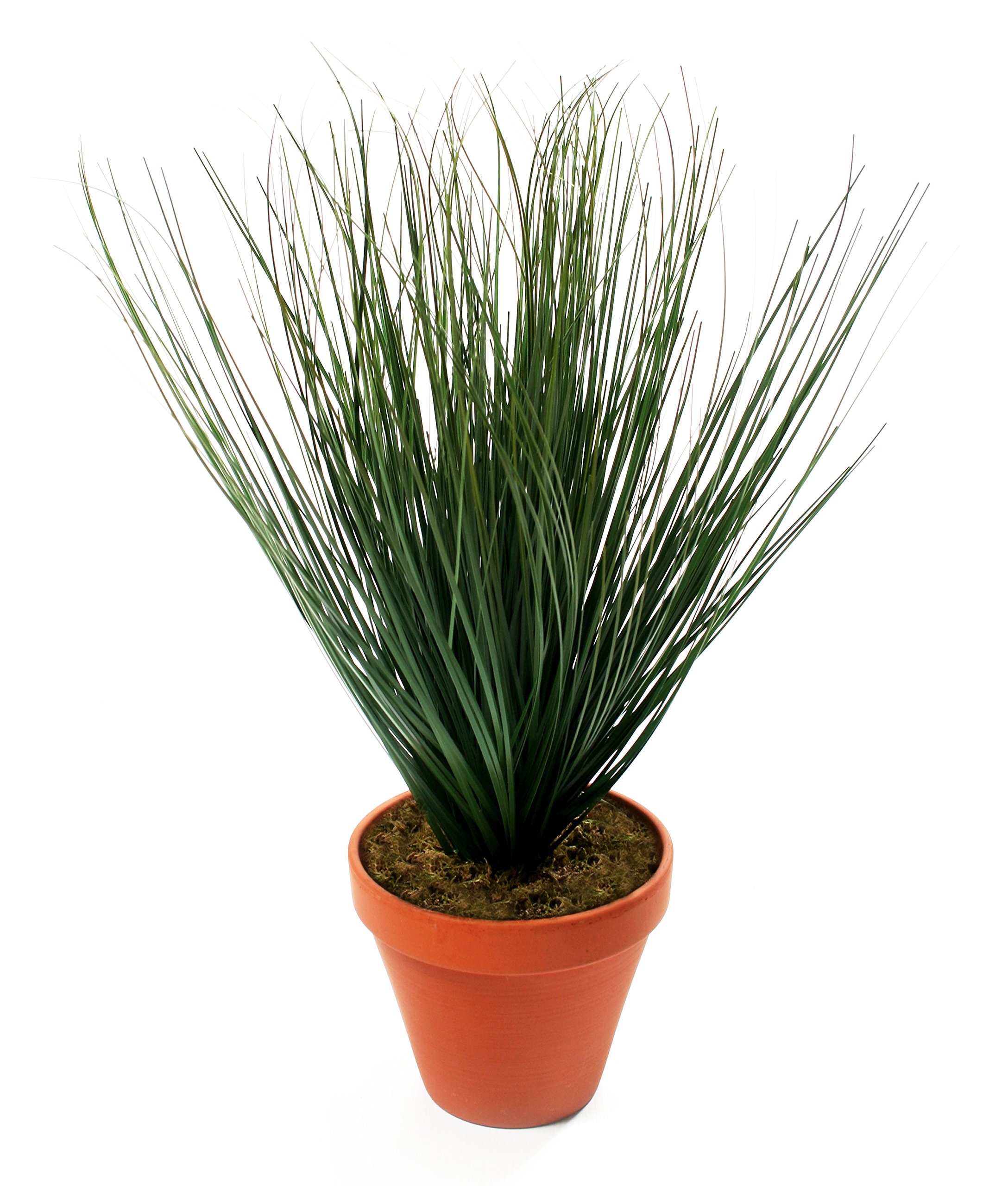 Closer2Nature Artificial 1ft Onion Grass Plant, Faux Decoration Plants for Indoors in Home, Kitchen, Lounge and Office - Terracotta Pot Not Included