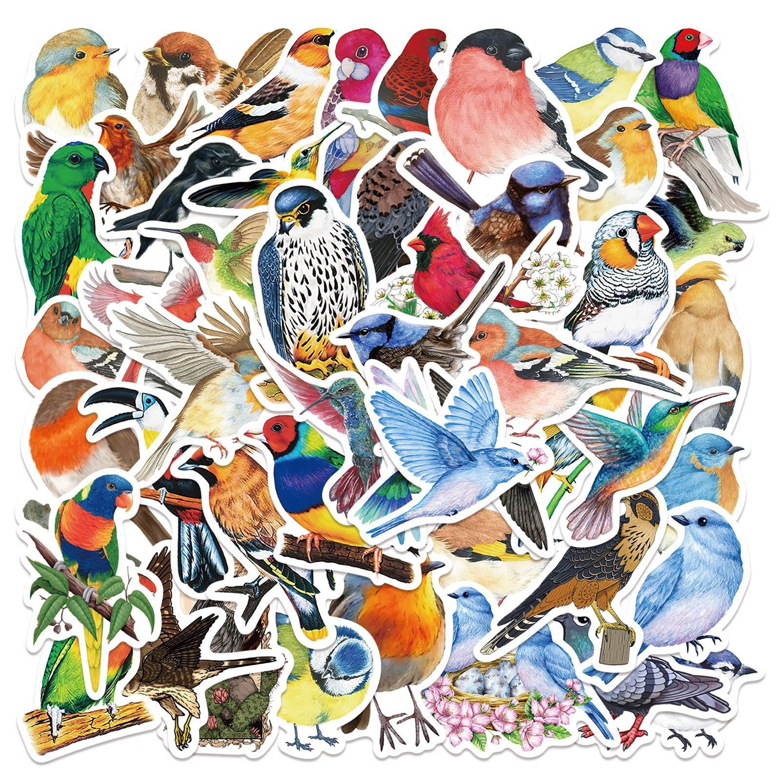 AUCEKO Colourful Bird Stickers 50 Pcs Watercolor Birds Sparrow Cute Aesthetic Diary Travel Paper Junk Journal Stickers Scrapbooking Stationery Sticker Flakes Art Supplies