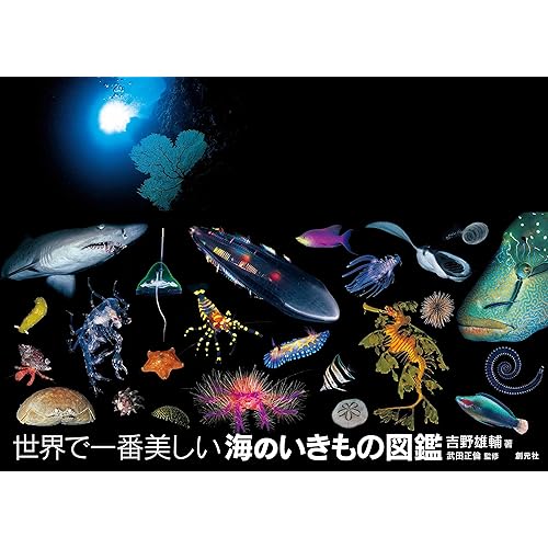 創元社 世界で一番美しい海のいきもの図鑑