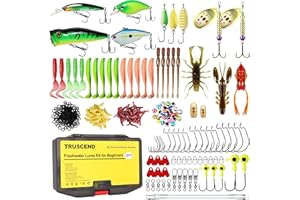 TRUSCEND Widely Used Fishing Tackle & Accessories Kit, Fishing Tackle Box with Tackle Included, Fishing Sinker Weight Hook Swivels Snap Leader Lures, Giftable Beginner Fishing Lures/Gear Set