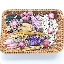 DIY Dried Flower Set, Bulk Dried Flowers,Handmade