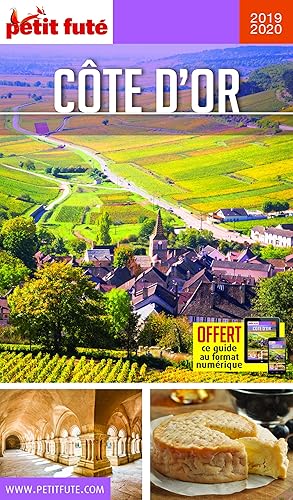 Download Petit Futé Côte d'Or PDF