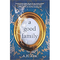 A Good Family: A Novel book cover