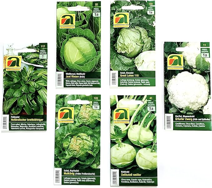 12 variedades | Surtido de semillas de verduras | más de 14000 ...