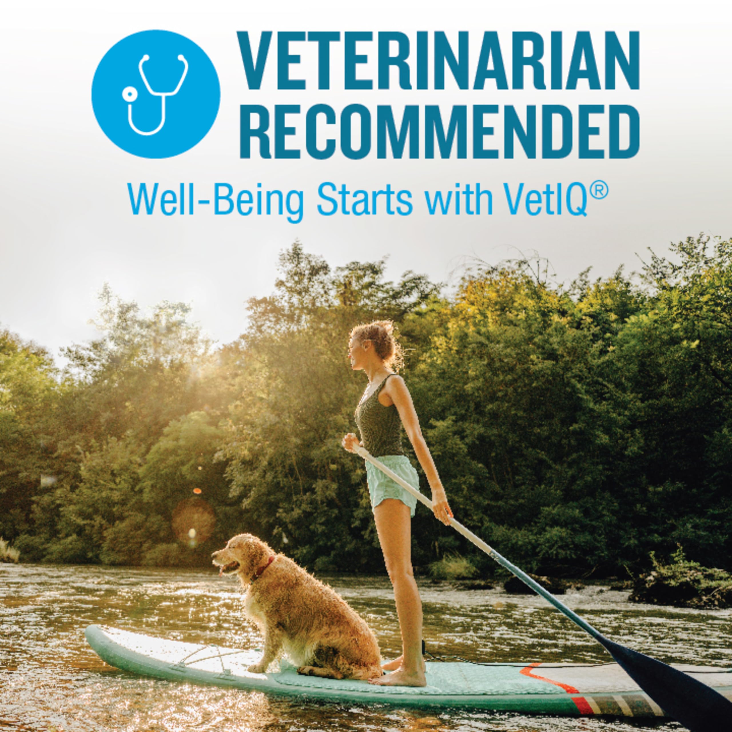 VetIQ Hip & Joint Supplement for Dogs, Anti Inflammatory Joint Support