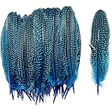 Happy Feather 6-9 inch Natural Guinea Wing Plumage Feather for DIY Craft, Jewelry and Clothing Decoration Pack of 20-Blue