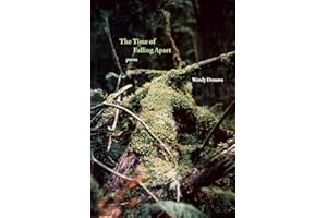 The Time of Falling Apart: Poems