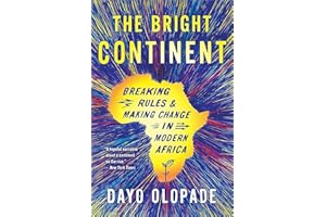 The Bright Continent: Breaking Rules & Making Change in Modern Africa