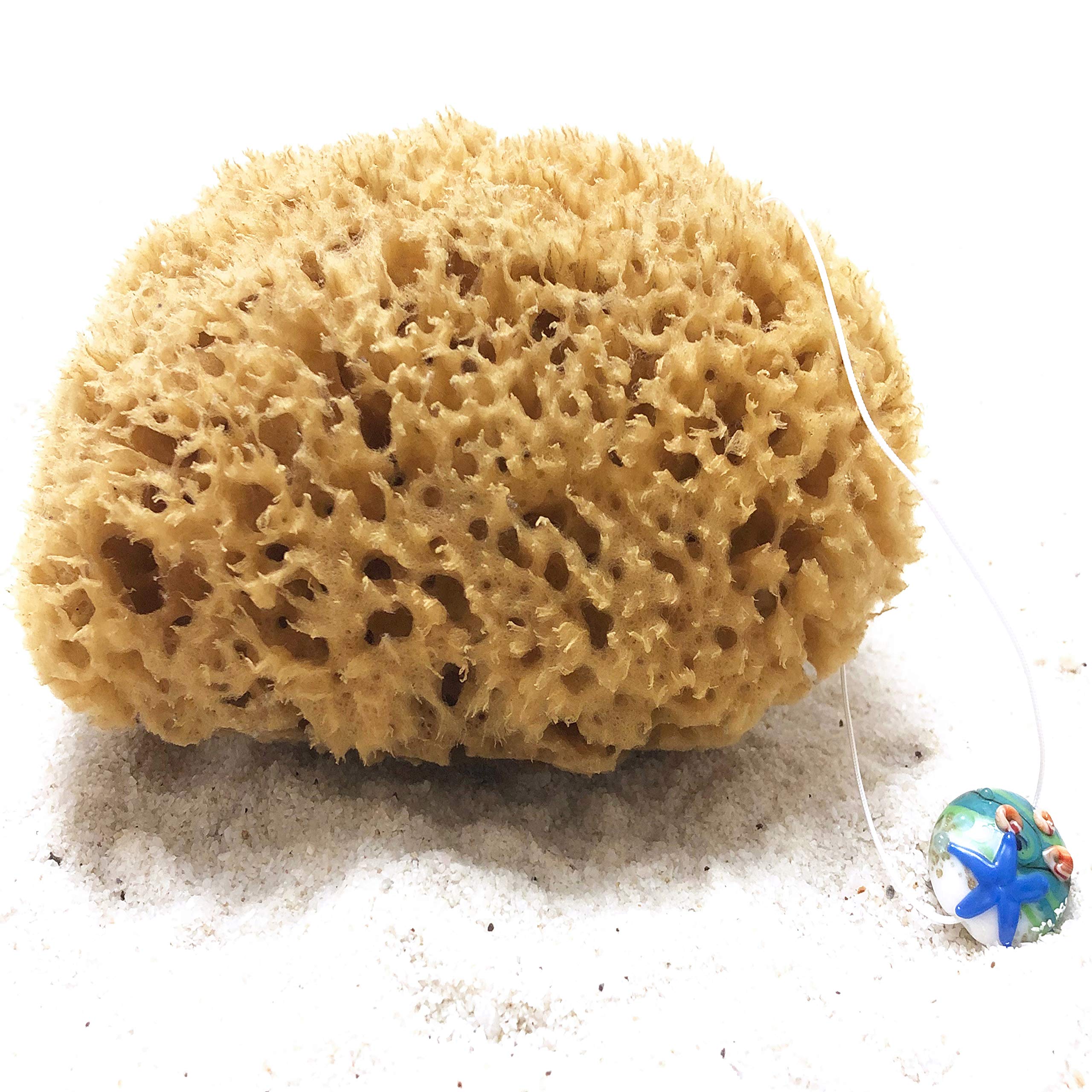 tom&pat® Natural Sea Sponge • with Cord and Glass Pendant • Bathing Sponge and Body Sponge • Peeling Effect • Unbleached • Dermatest Excellent • Mediterranean Quality Greece (13-14 cm)