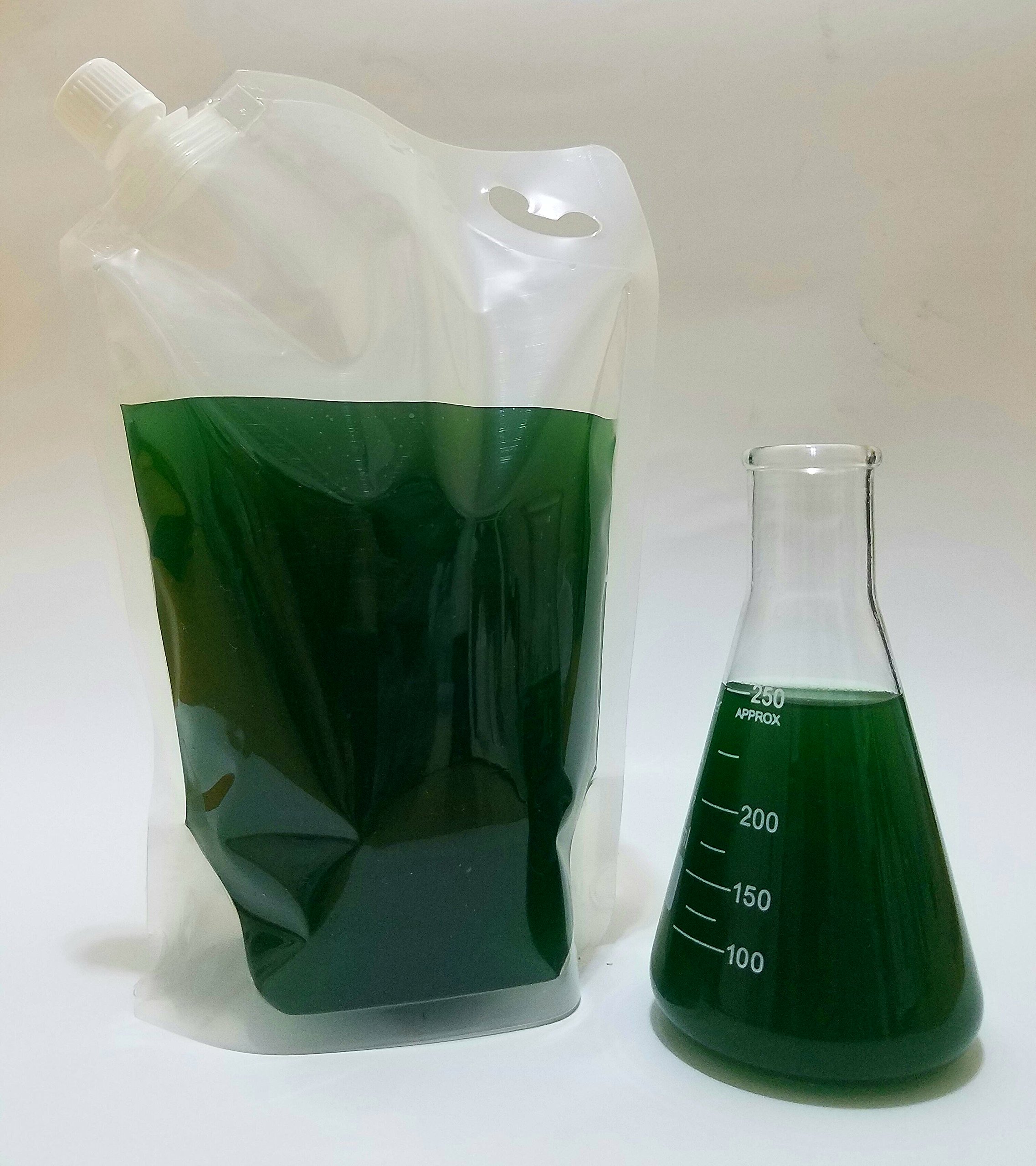 Industrial 33 oz Starter Culture and Lab Specimen. High Density Live