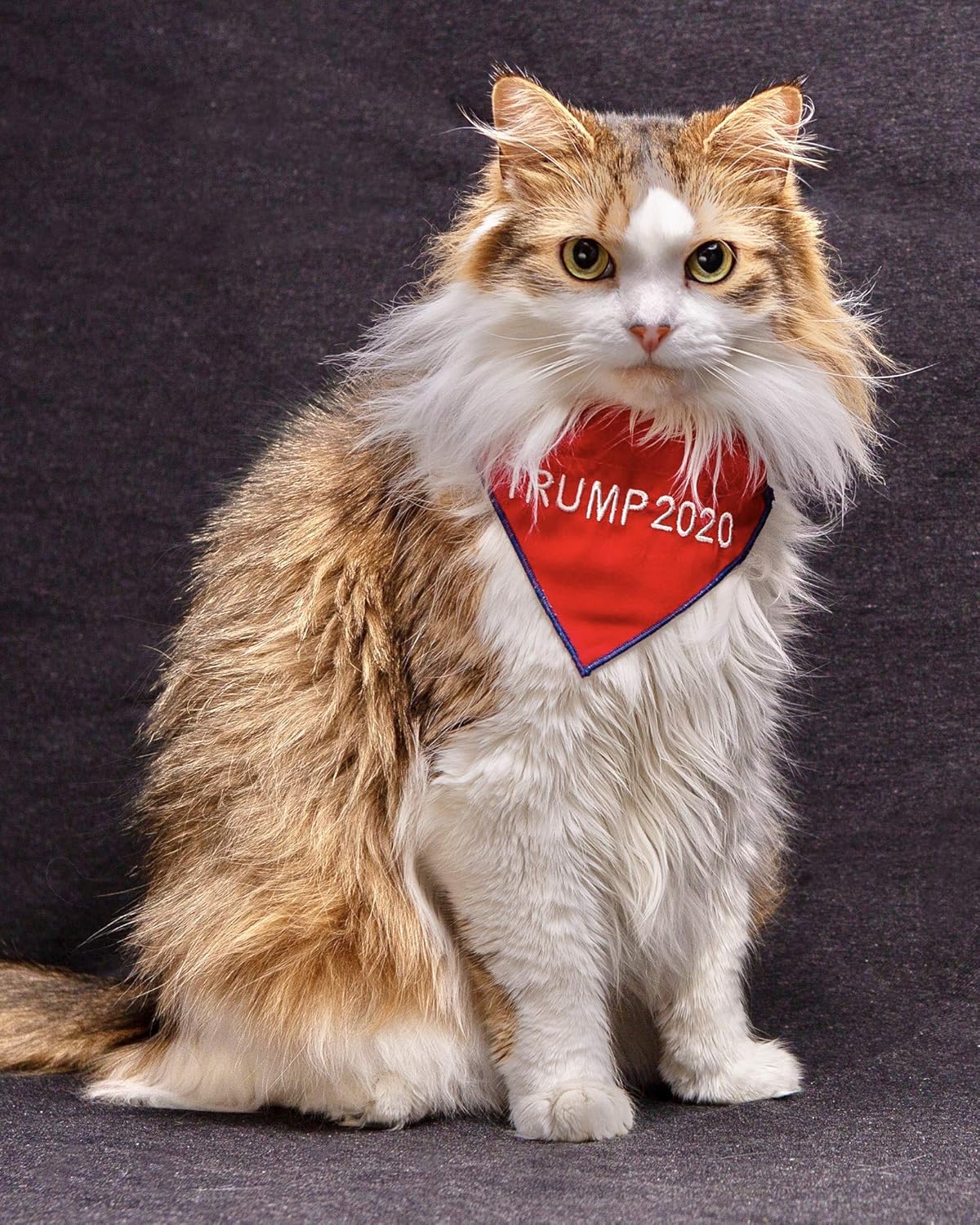 Amazon Com Custom Trump 2020 For President Small Cat Bandana Puppy Reversible And Over The Collar Embroidered Made In Usa Handmade