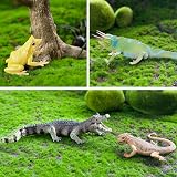 toymany 12PC Reptile Animal Figurines Set Cold Blooded Amphibians Jungle Lizard view 2