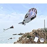 Kizh Kite Giant 3D Dolphin Frameless Soft Parafoil Kites for Kids and Adults Easy Flyer Kite for Beach Park Garden Playground