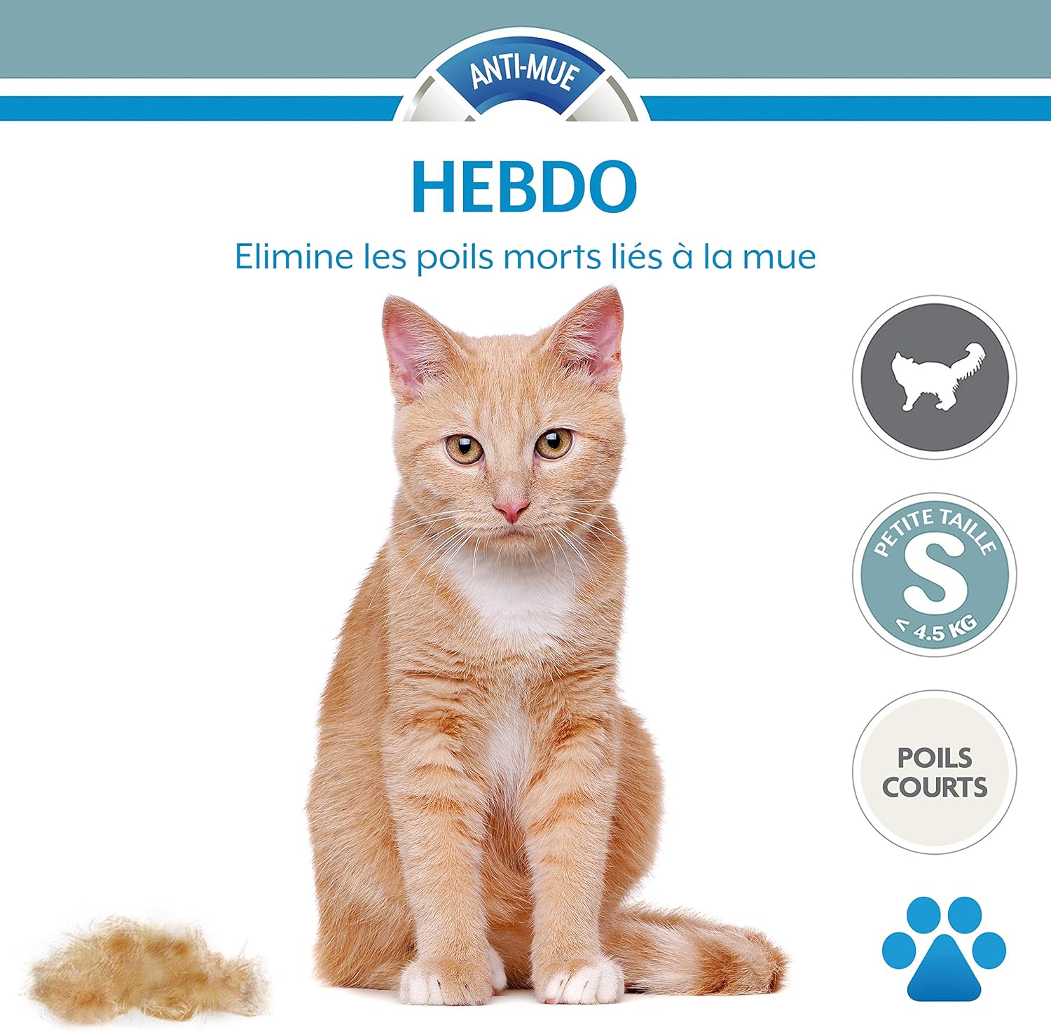 Furminator Premium Outil De Toilettage Pour Chat De Petite