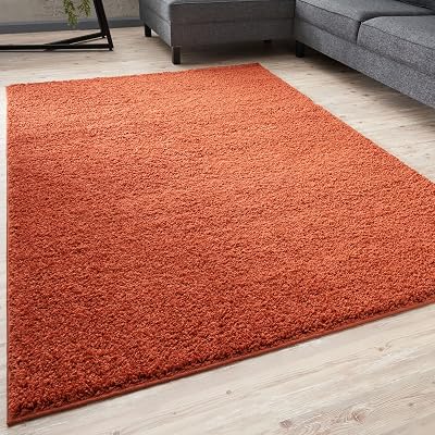 THE RUGS Living Room Rug Shaggy 30mm Thick 140x200 cm Terra Colour