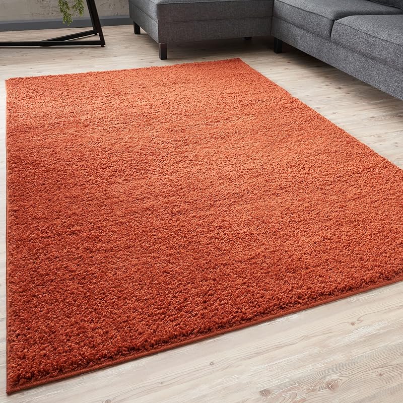 THE RUGS Living Room Rug Shaggy 30 mm 80x300 cm Terra
