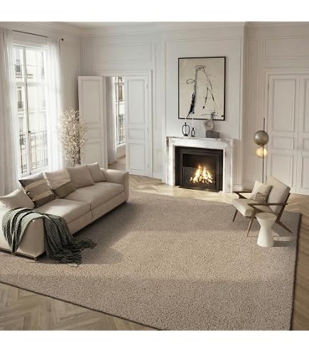 Amazon.com: SAFAVIEH Santa Monica Shag Collection 8' x 10' Beige