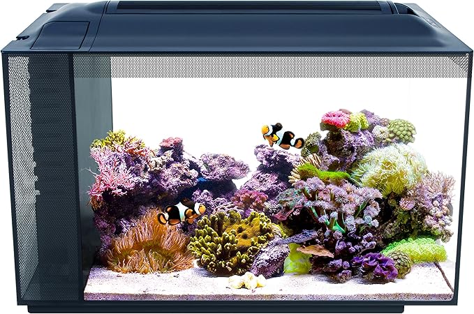 saltwater fish tank supplies near me
